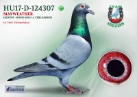 HU17-RD-124307-H