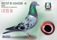 HU17-RD-124328-T
