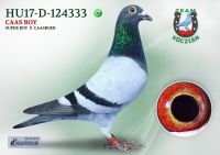HU17-RD-124333-H