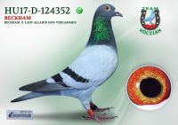 HU17-RD-124352-H