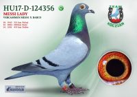 HU17-RD-124356-T