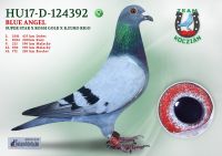HU17-RD-124392-T