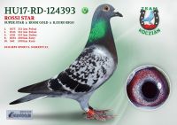 HU17-RD-124393-T