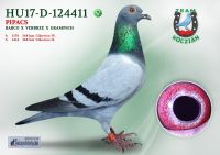 HU17-RD-124411-T