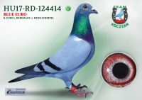 HU17-RD-124414-T